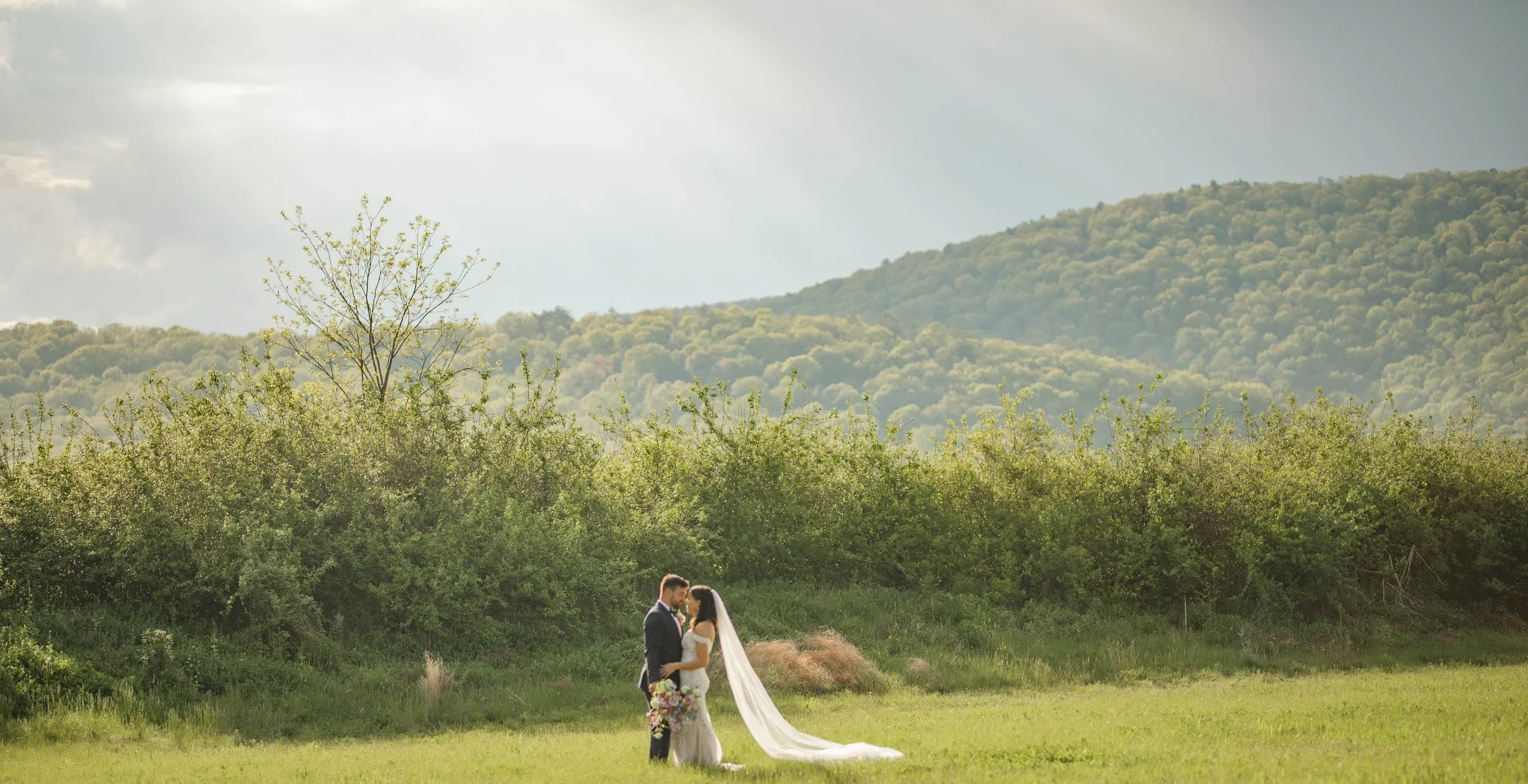 65d48e5d-3c95-45a1-9d1c-b802190cbcbc