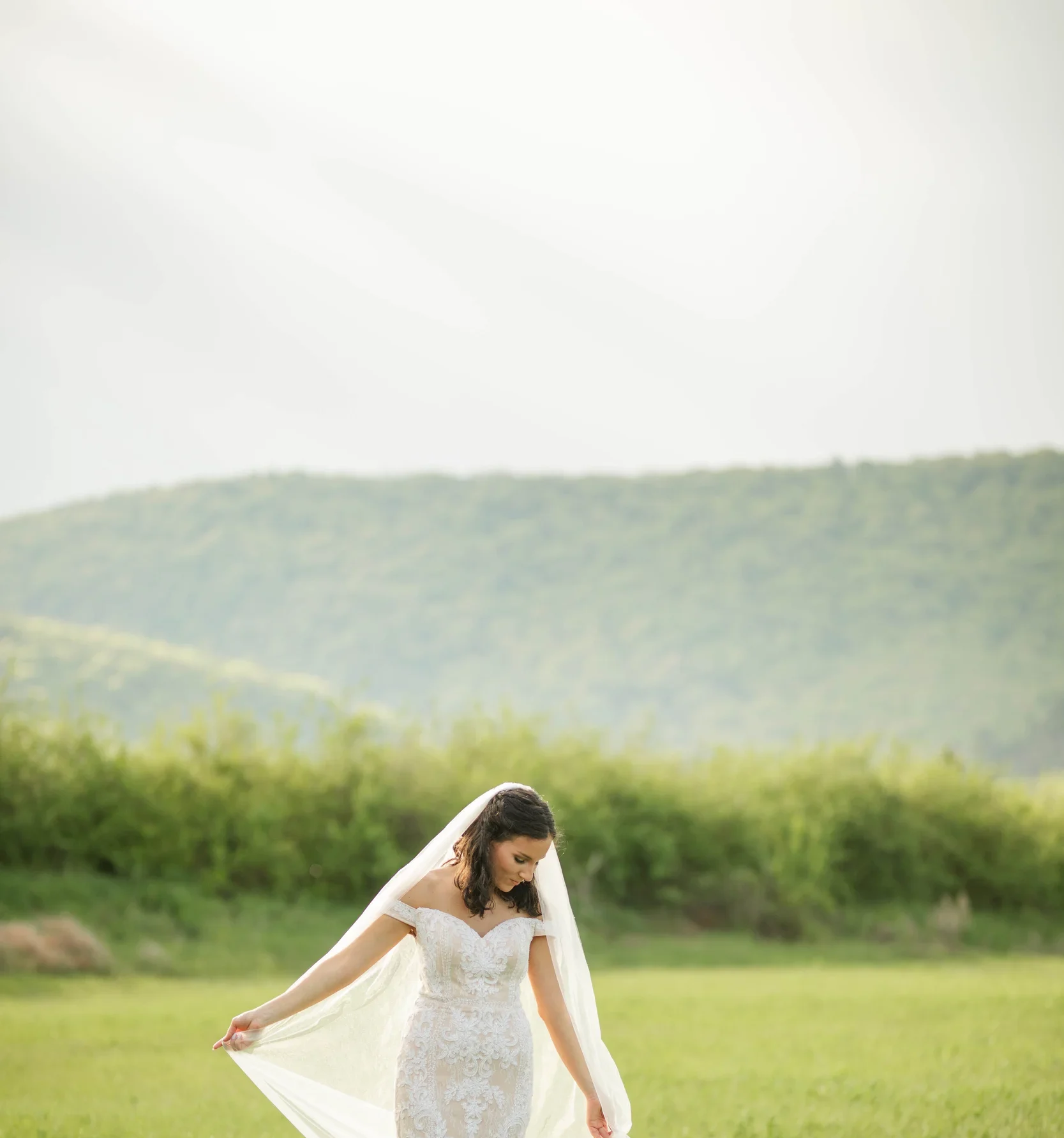 906bd429-97c3-4d29-8449-f5d42e9019c8