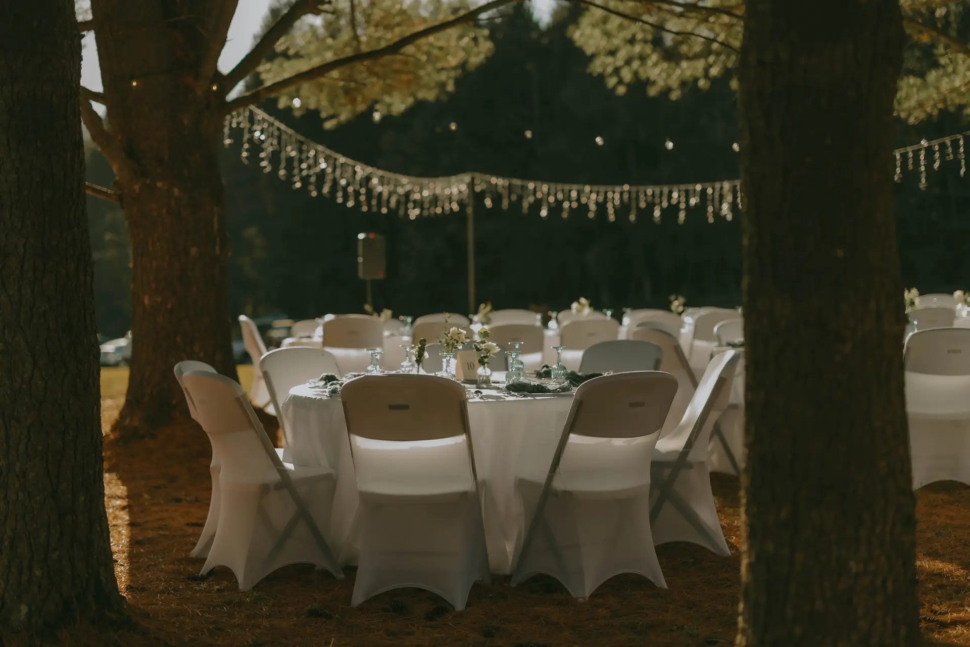 Annika_s Photographs-31