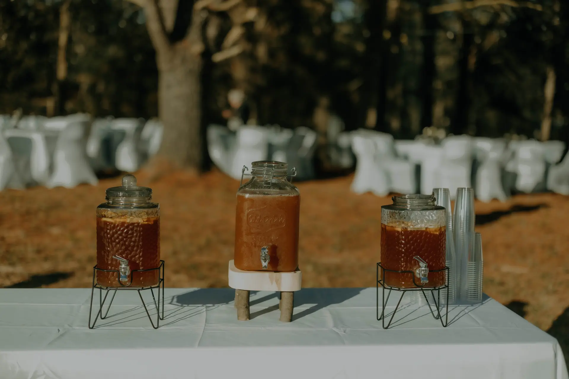 Annika_s Photographs-48